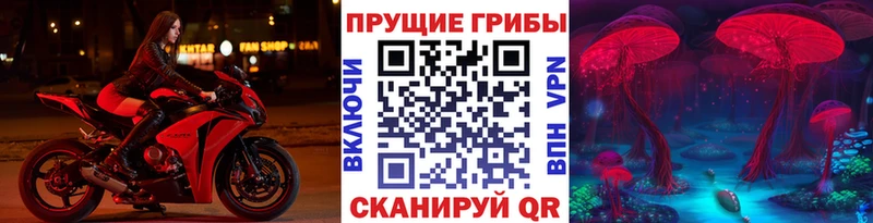 Псилоцибиновые грибы MAGIC MUSHROOMS  наркошоп  Афипский 